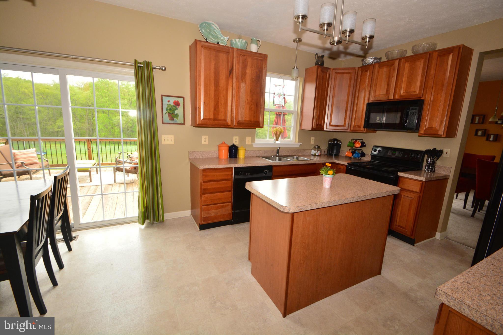 261 Manchester Drive Rising Sun, MD 21911 - Photo 11 of 30 Kitchen