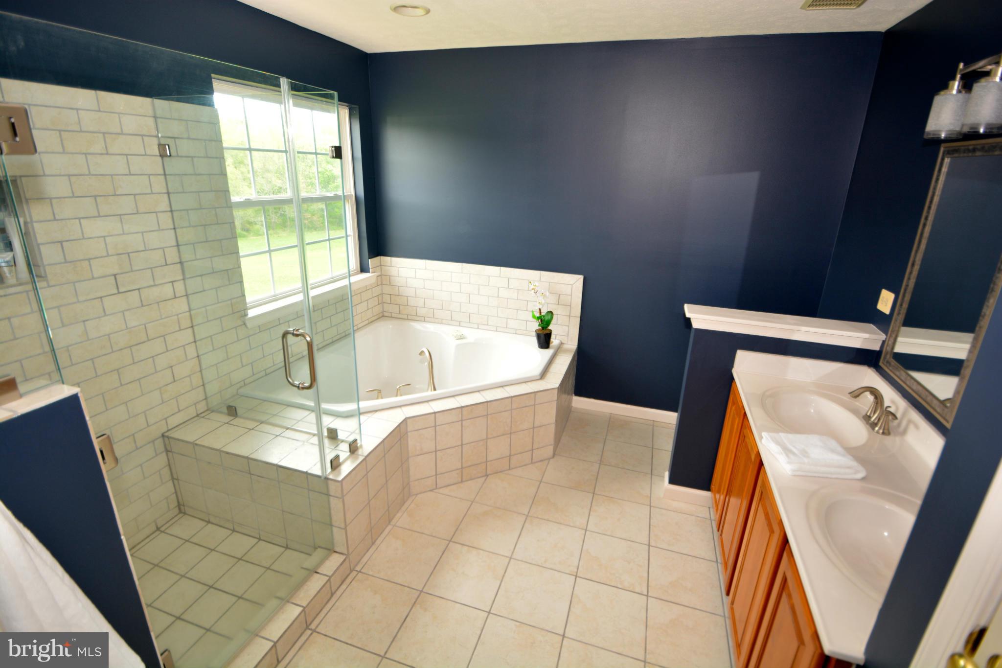 261 Manchester Drive Rising Sun, MD 21911 - Photo 16 of 30 Bath (Master)