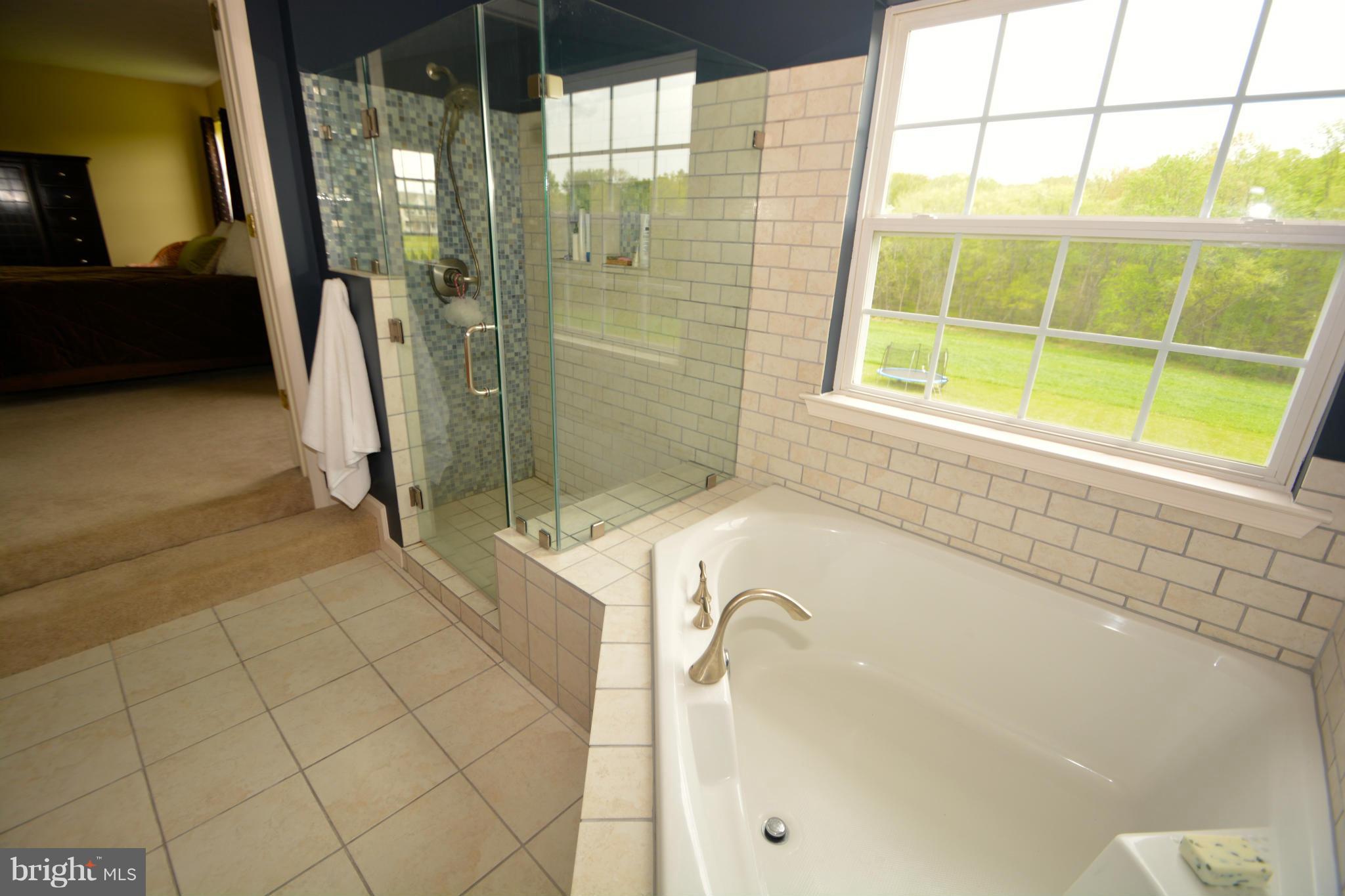 261 Manchester Drive Rising Sun, MD 21911 - Photo 17 of 30 Bath (Master)