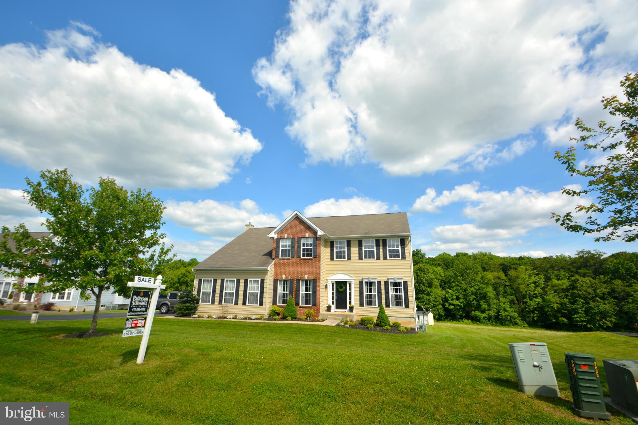 261 Manchester Drive Rising Sun, MD 21911 - Photo 3 of 30 Exterior (Rear)