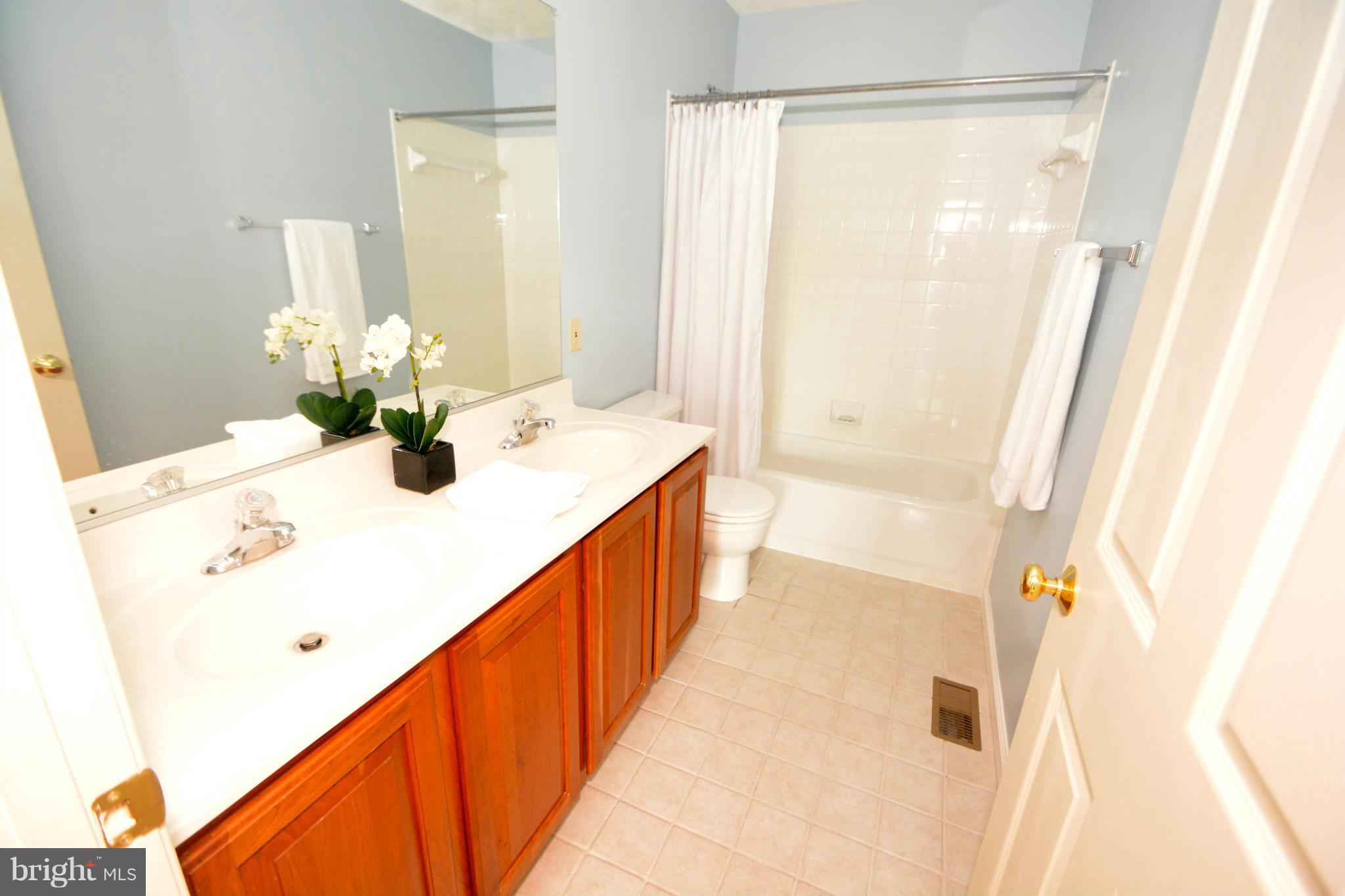 261 Manchester Drive Rising Sun, MD 21911 - Photo 22 of 30 Bath