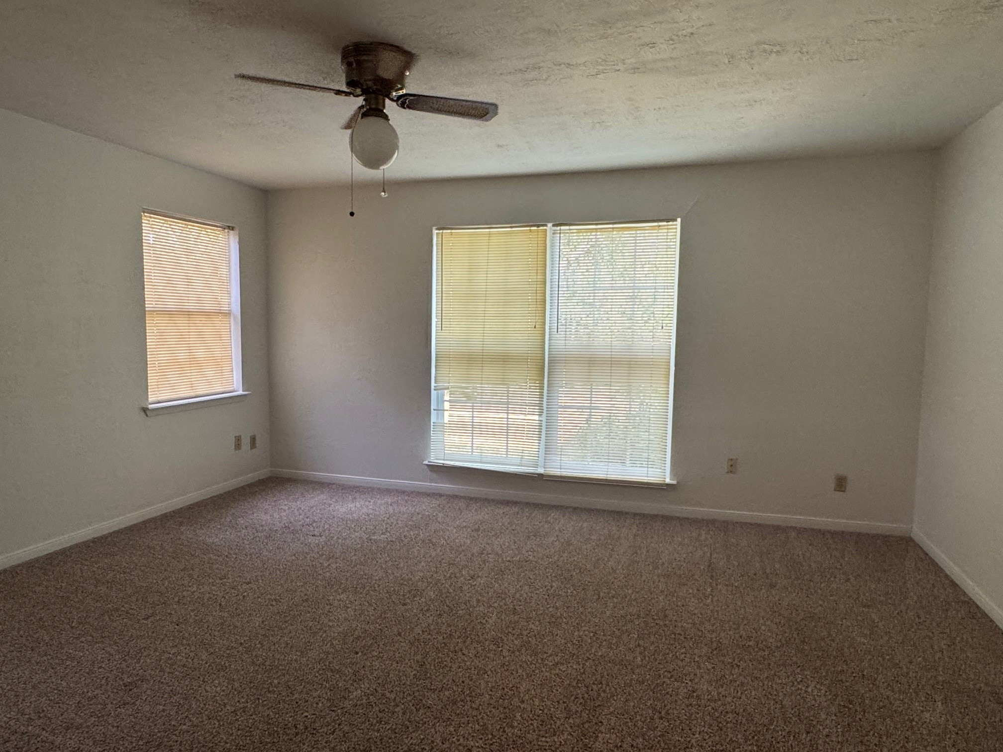 18121 Atkinson Lane Conroe, TX 77384 - Photo 25 of 29 an empty room with windows and ceiling fan