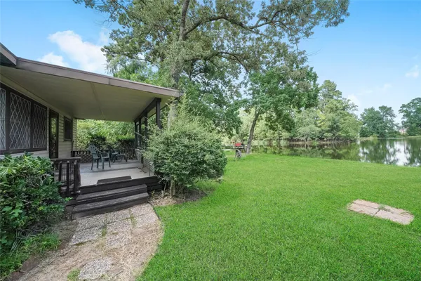 a view of a backyard with potted plants and large tree