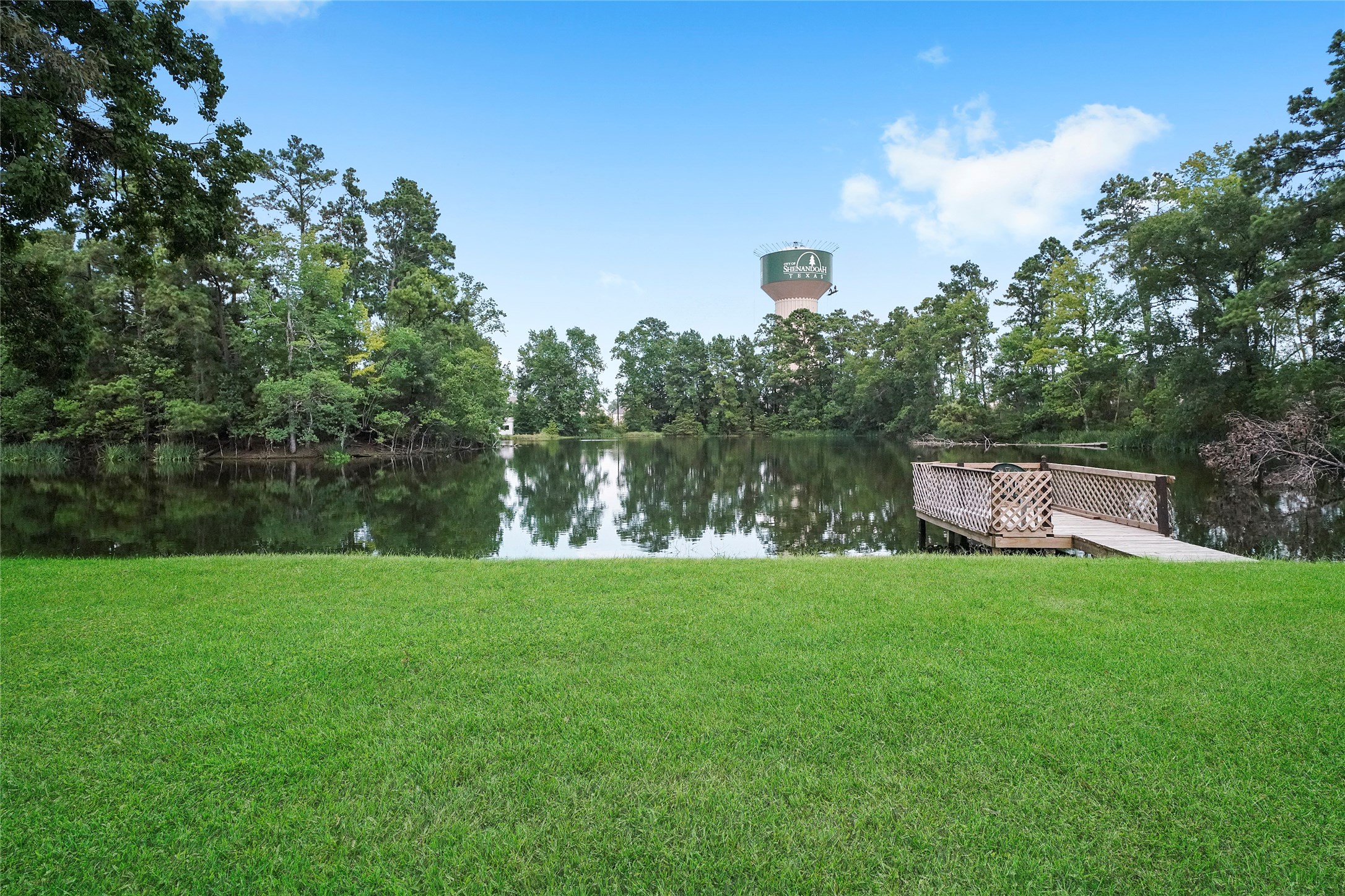 18121 Atkinson Lane Conroe, TX 77384 - Photo 9 of 29 a house with a garden