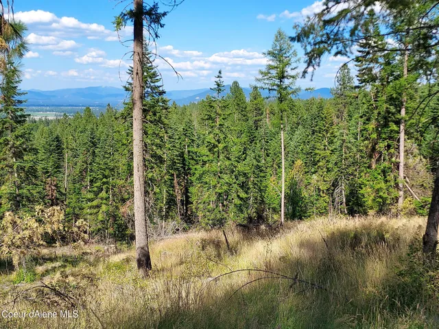 $350,000 | Nka Nka Palomino, Coeur D'Alene, ID 83814