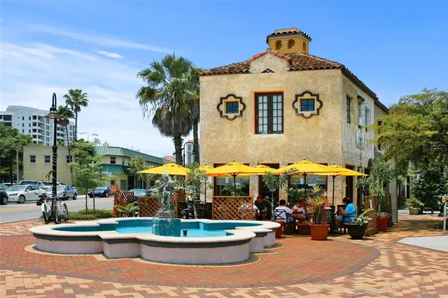 a view of a park with palm trees