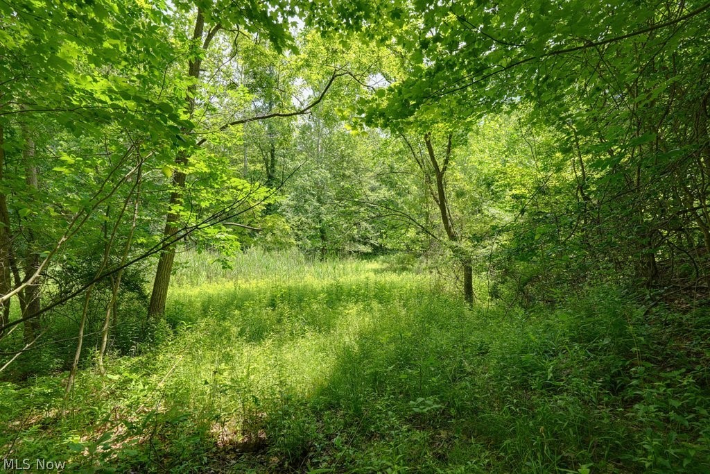 0 North Chillicothe Road Aurora, OH 44202 - Photo 12 of 36