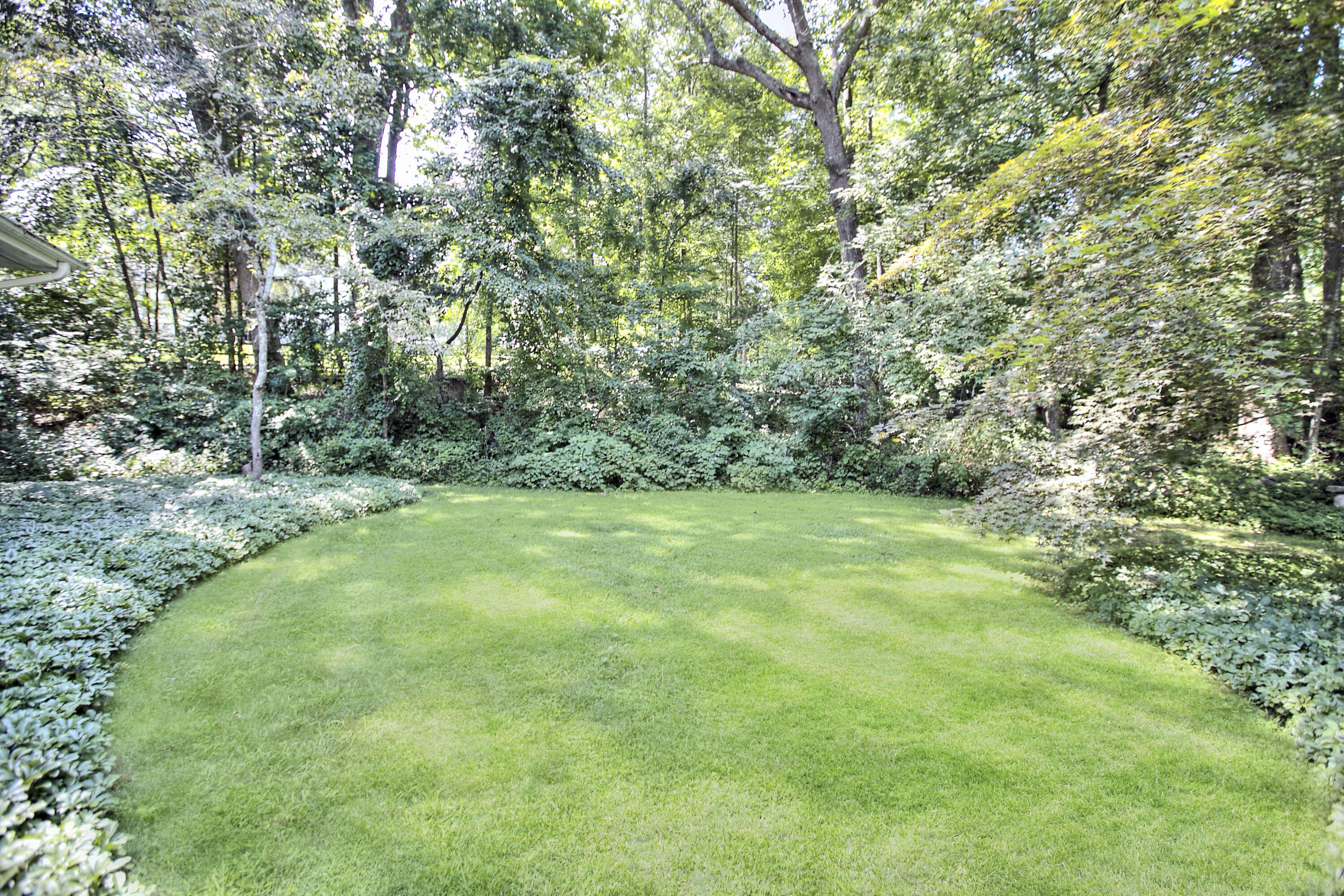 25 Hillcrest Road New Canaan, CT 06840 - Photo 16 of 19 a big yard with lots of green space and deers