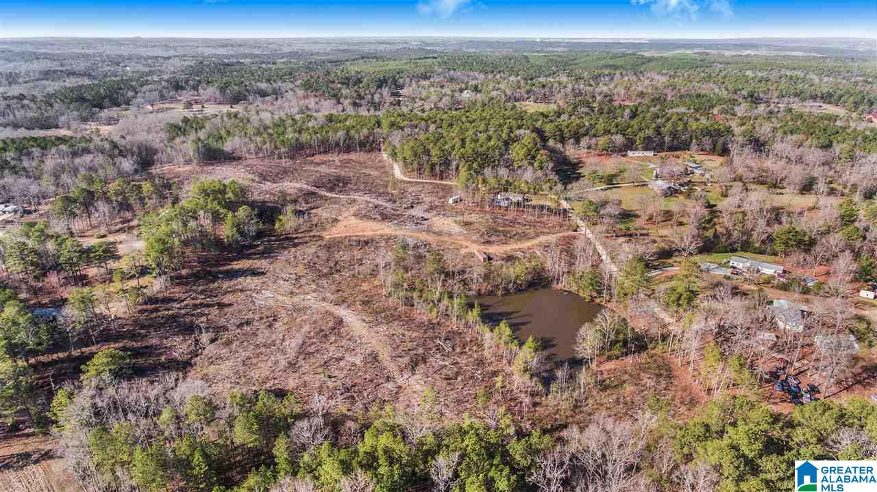 568 Yorkshire Road Columbiana, AL 35051 - Photo 3 of 7