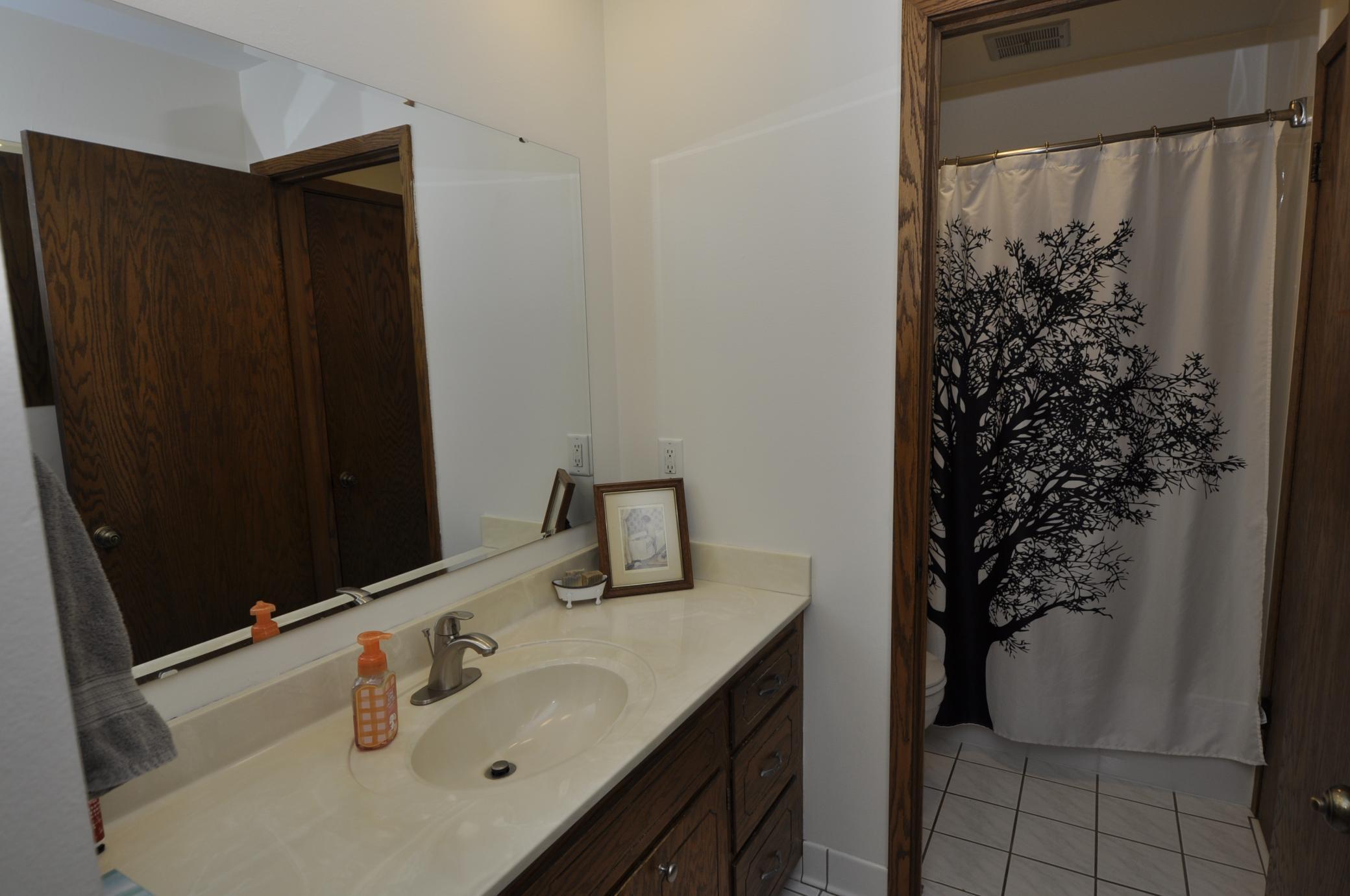 108 26th Street Northwest Rochester, MN 55901 - Photo 18 of 39
