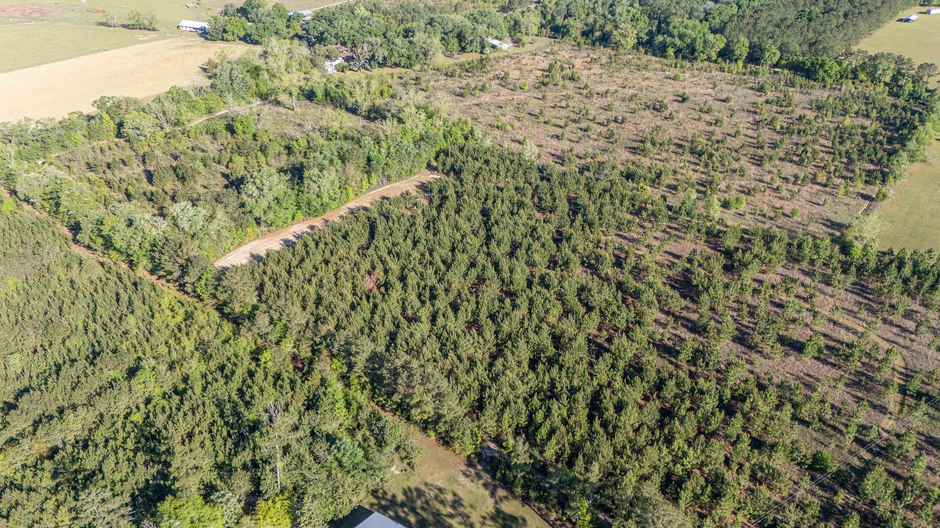 49 Will White Road Quincy, FL 32351 - Photo 37 of 55