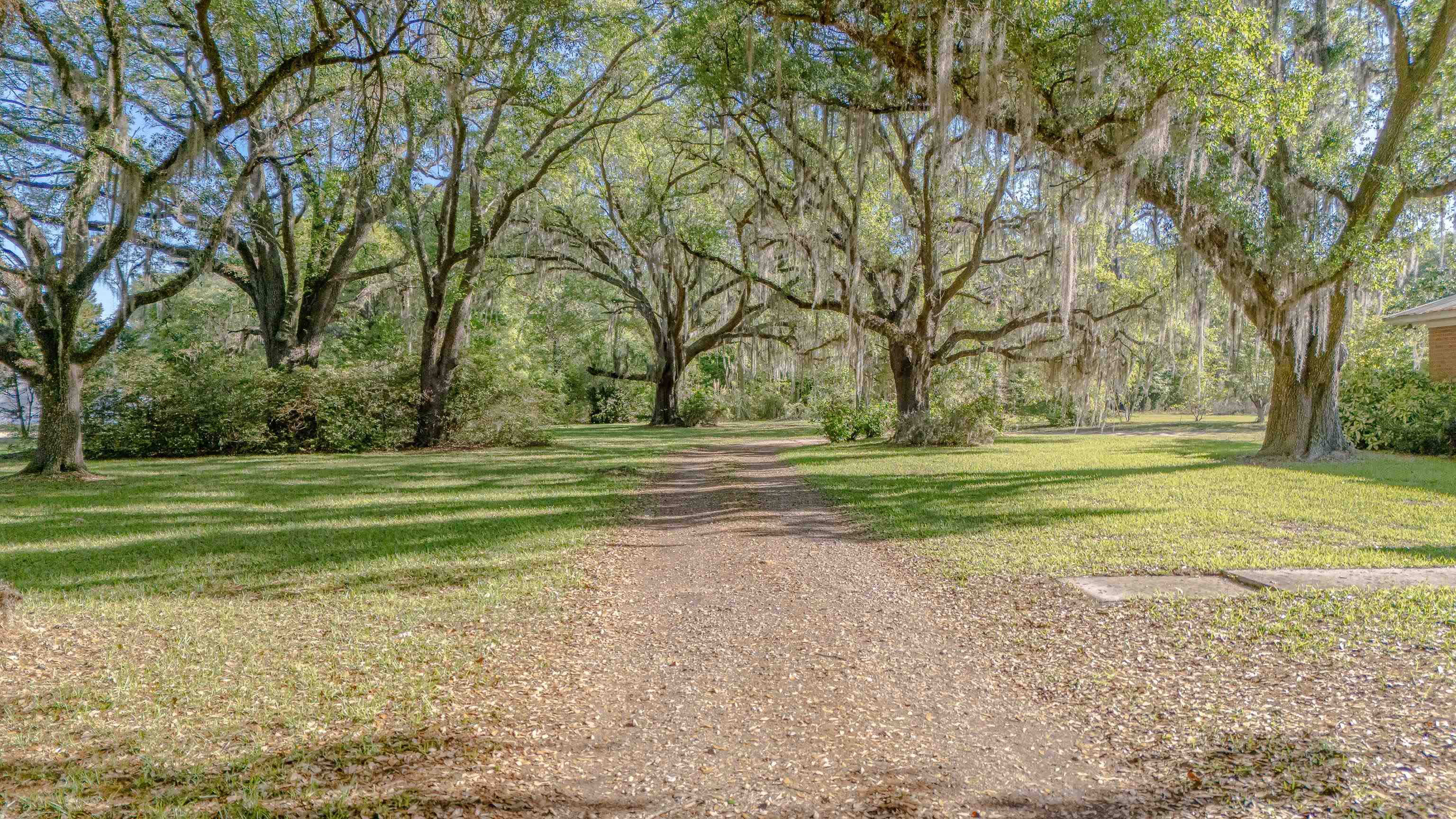 49 Will White Road Quincy, FL 32351 - Photo 38 of 55