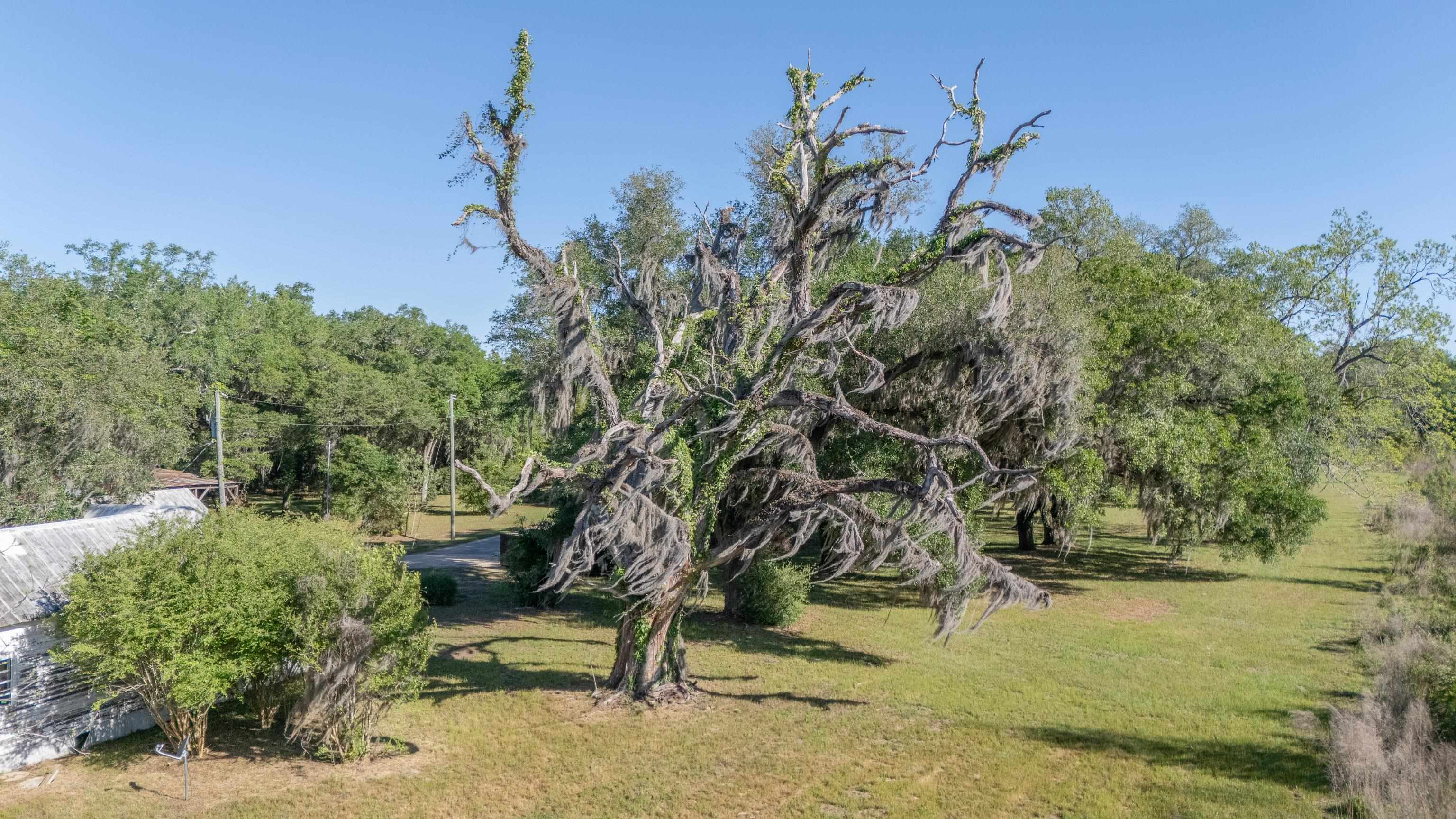 49 Will White Road Quincy, FL 32351 - Photo 43 of 55
