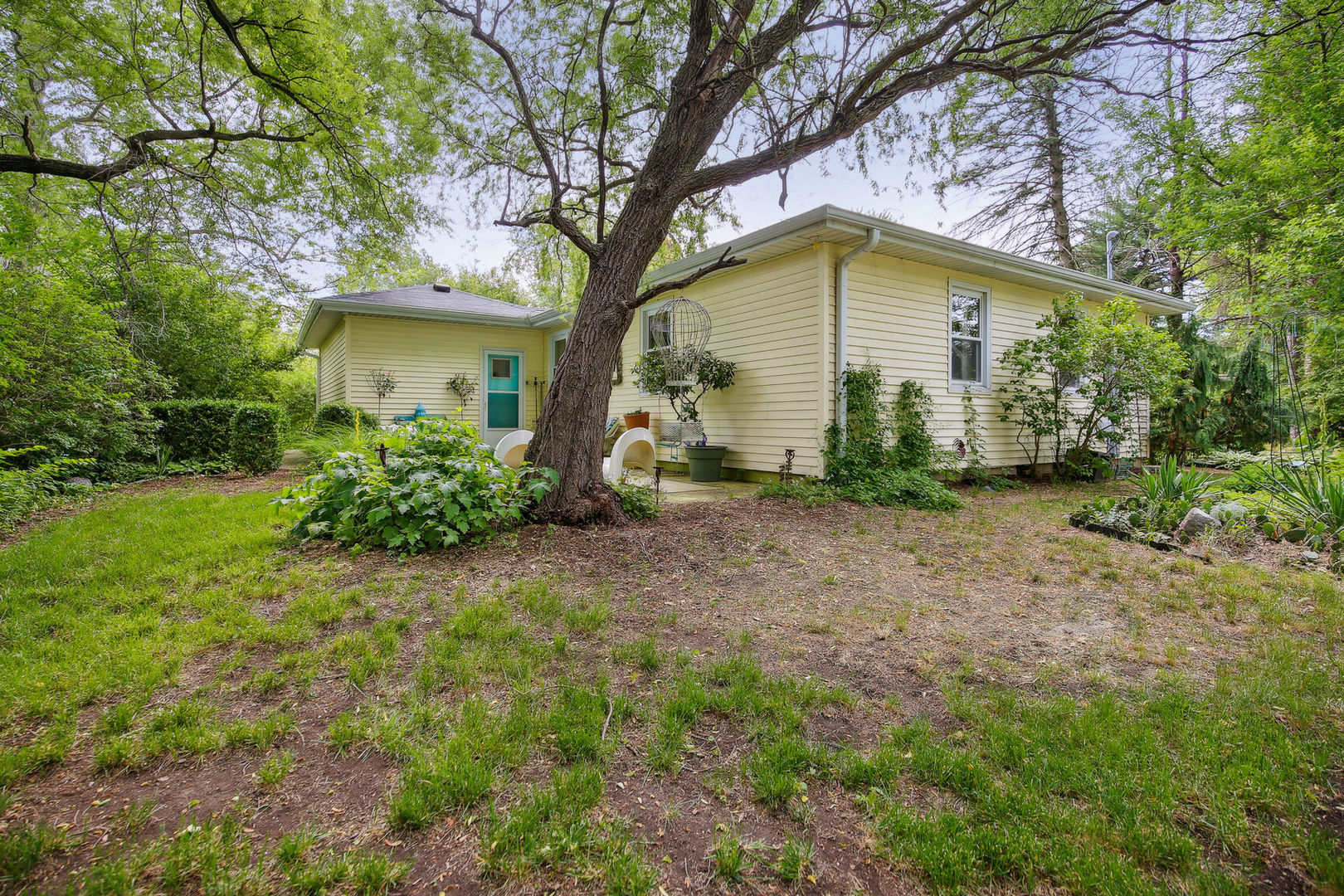 5 Normandy Place Champaign, IL 61821 - Photo 24 of 25 a backyard of a house with plants and large tree