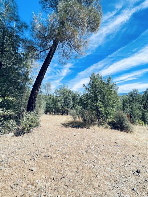 1 Oak Run Road Oak Run, CA 96069 - Photo 10 of 20 Open spaces
