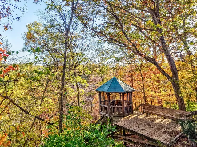 an outdoor view of house with swimming pool and furniture
