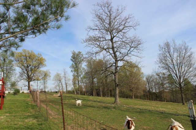 4910 Vincion Road Murfreesboro, TN 37130 - Photo 18 of 20 Fenced area for any livestock