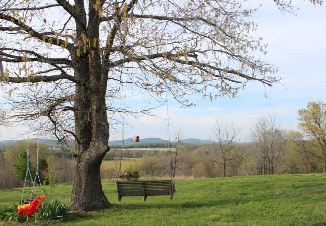 4910 Vincion Road Murfreesboro, TN 37130 - Photo 19 of 20 Gorgeous views
