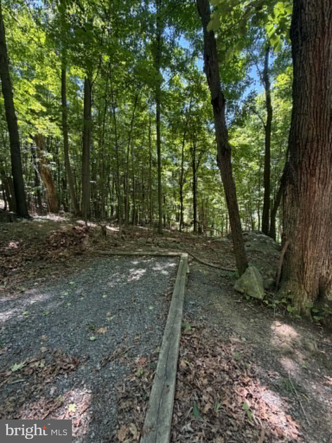 1515 Barnum Road Keyser, WV 26726 - Photo 18 of 64