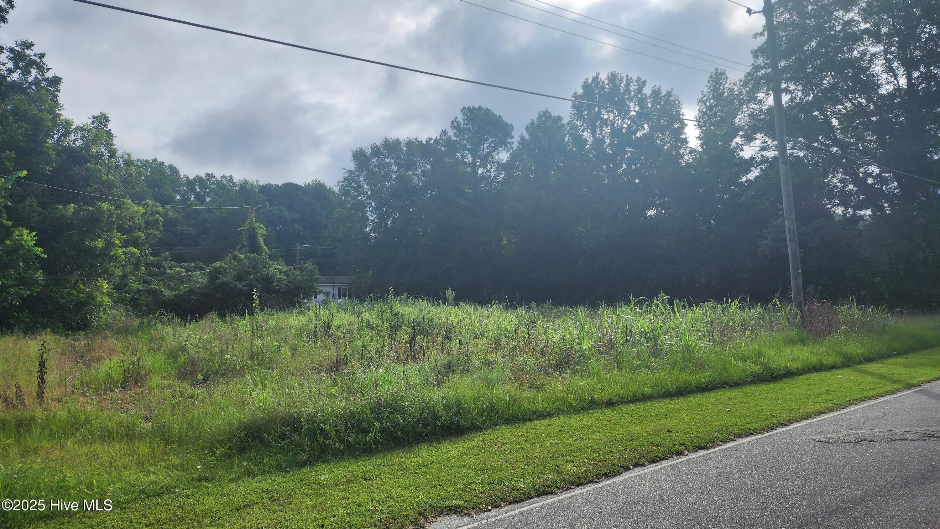 761 Bitmore Road Whiteville, NC 28472 - Photo 3 of 3 20250814_085312