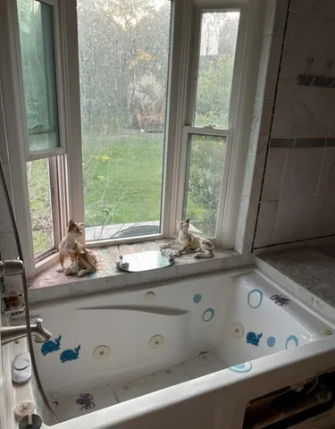 a close view of a sink and a mirror