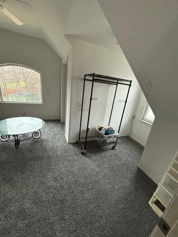 a view of a lush green forest