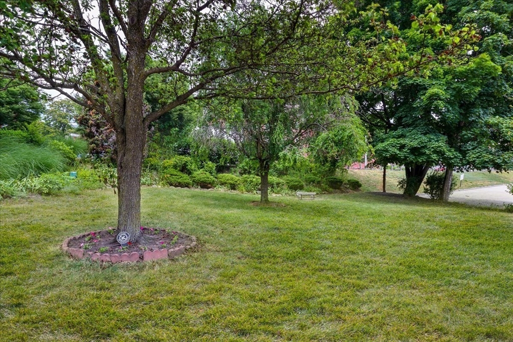 6 Chatham Place, Unit 6 Worcester, MA 01609 - Photo 27 of 29