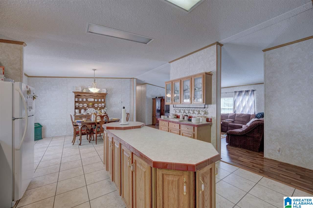 4395 Sand Valley Road Remlap, AL 35133 - Photo 8 of 24