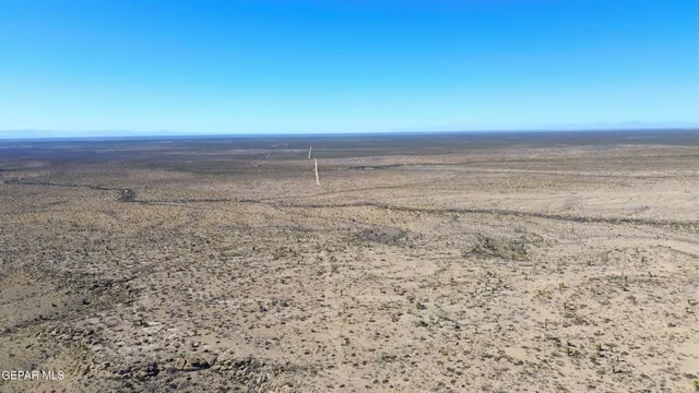 a view of a bird bath