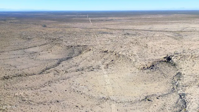 a view of a backyard with brick wall and a large tree