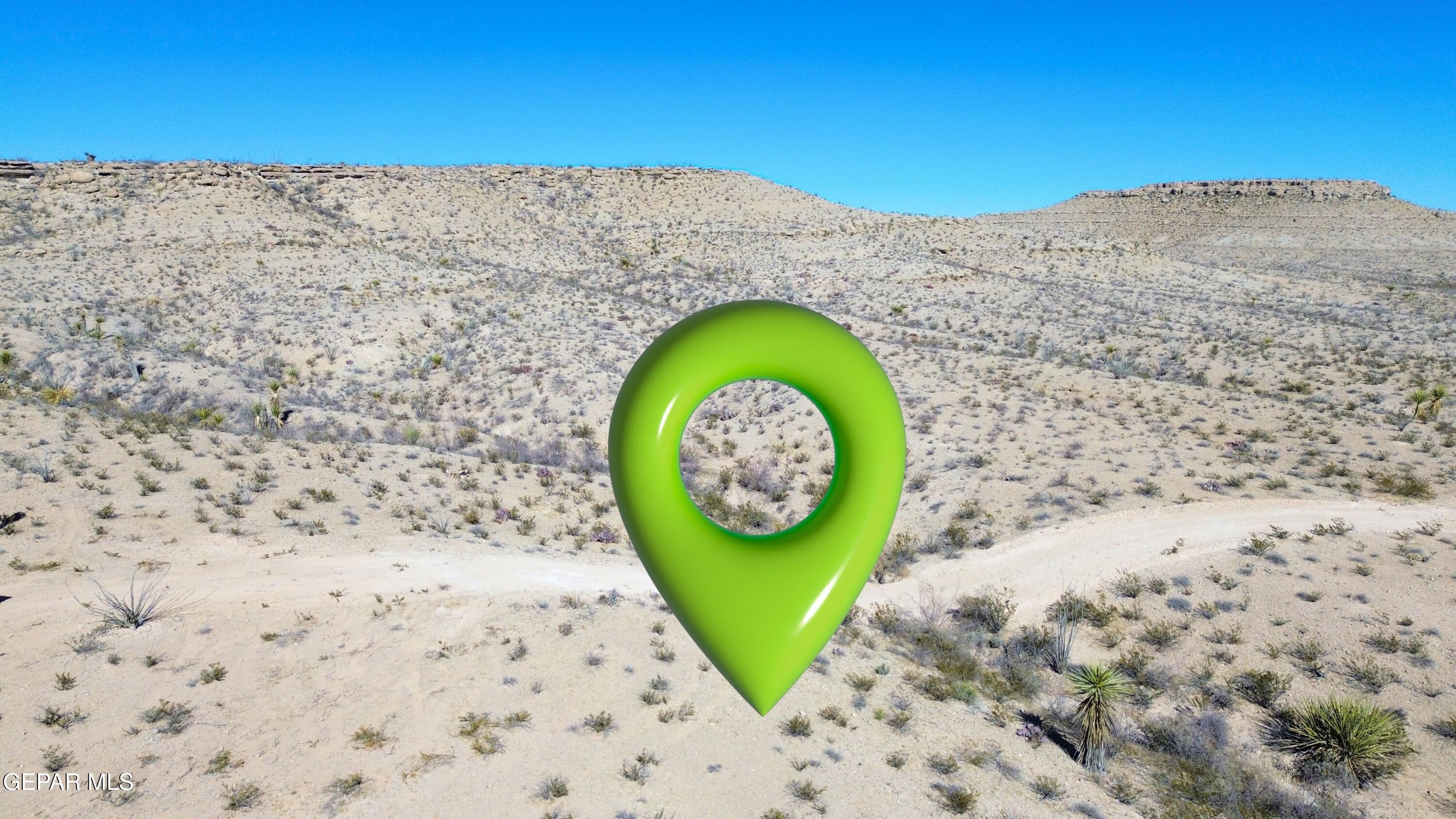 24 Longhorn Ranchettes Ridge Fort Hancock, TX 79839 - Photo 20 of 31 a view of a backyard with brick wall and a large tree