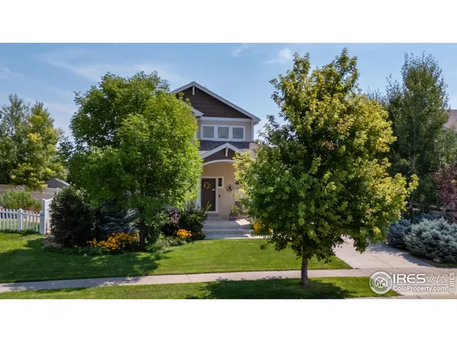 a view of a tree in a park
