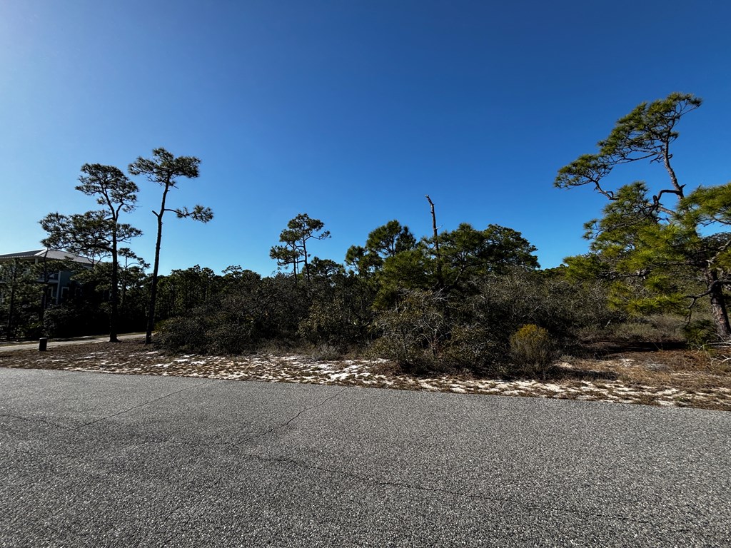 2000 Pelican Way St. George Island, FL 32328 - Photo 10 of 19