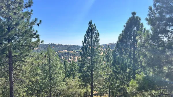 a view of a city with lush green forest
