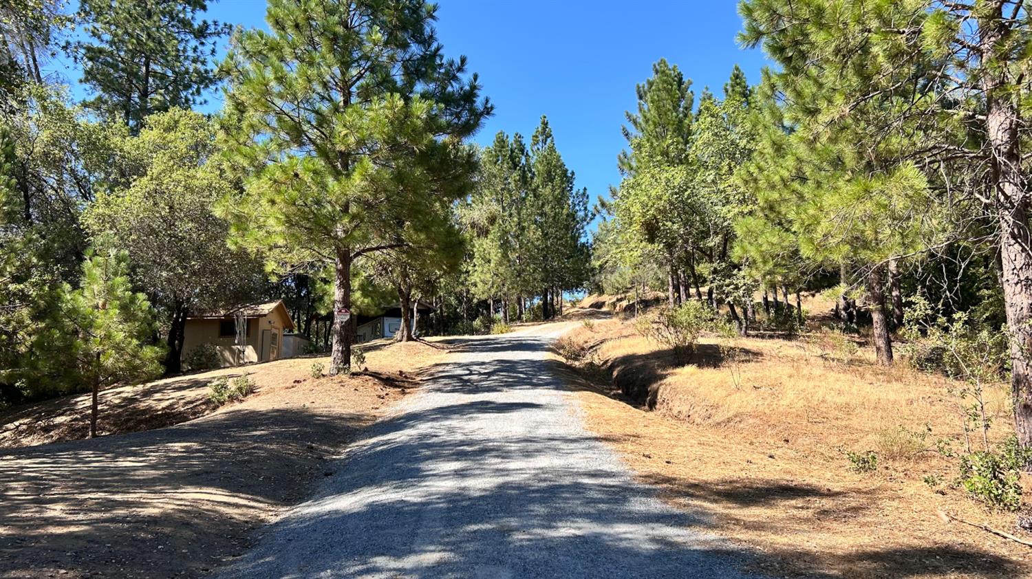 773 Red Fox Road Mountain Ranch, CA 95246 - Photo 21 of 24