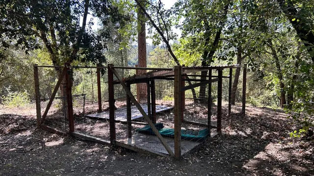 $300,000 | 773 Red Fox Road, Mountain Ranch, CA 95246