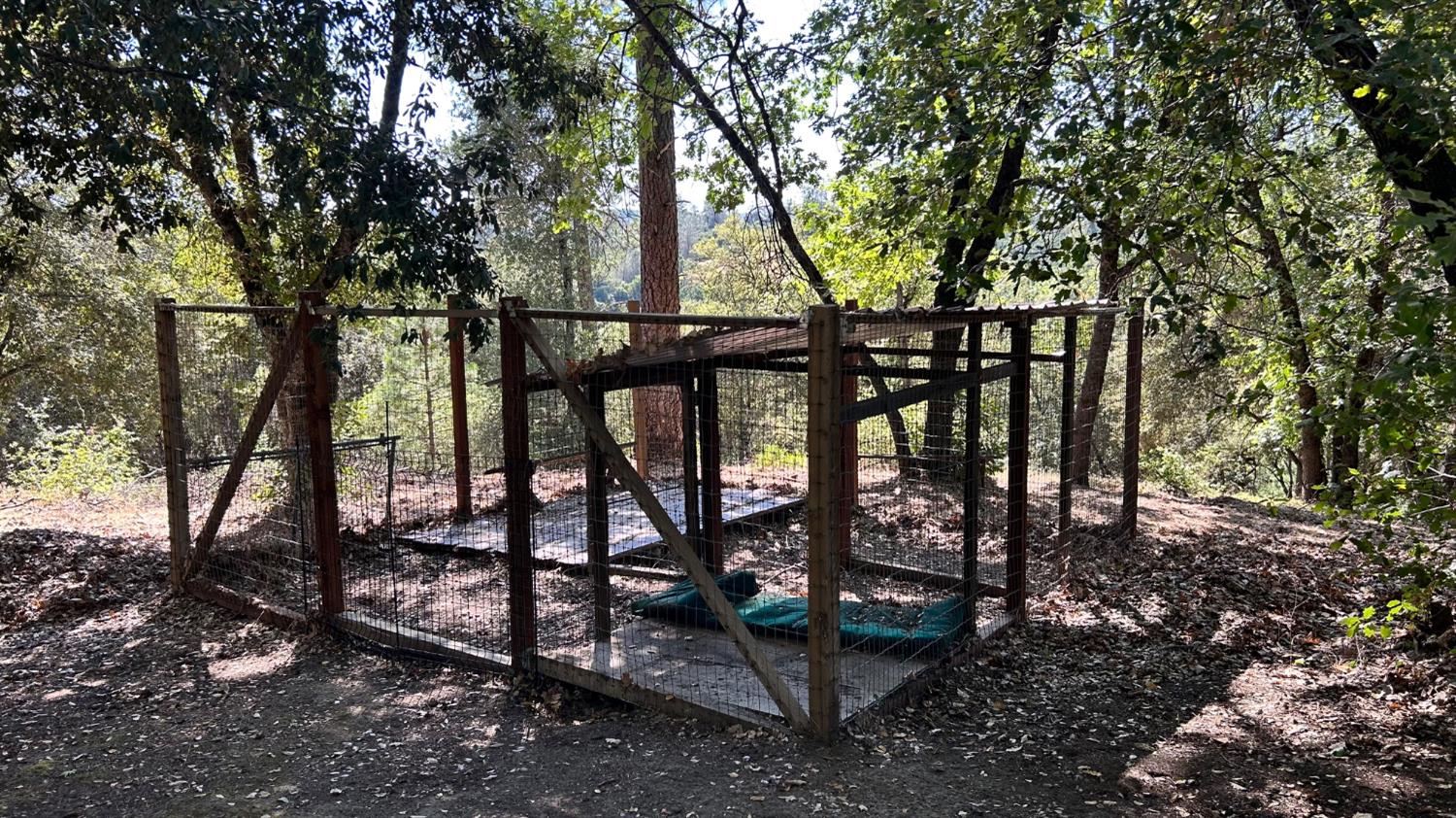 773 Red Fox Road Mountain Ranch, CA 95246 - Photo 22 of 24