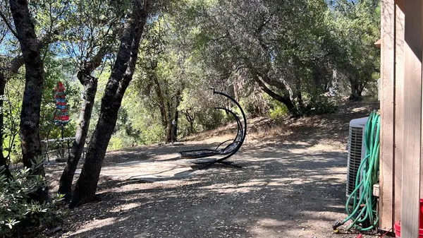 a view of a tree in a yard