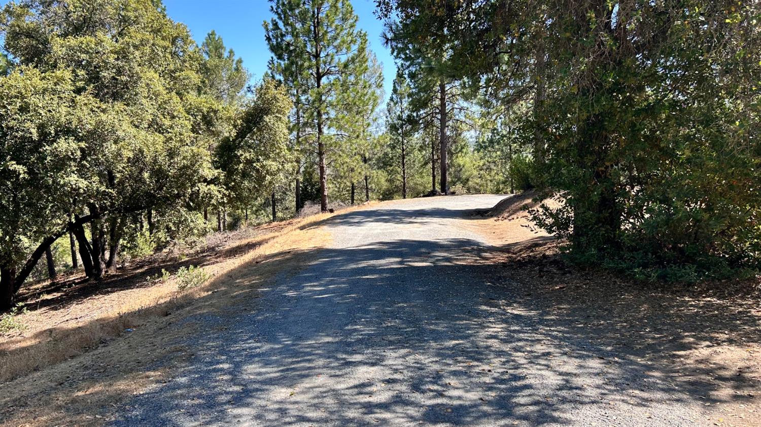 773 Red Fox Road Mountain Ranch, CA 95246 - Photo 24 of 24