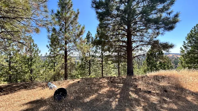 $300,000 | 773 Red Fox Road, Mountain Ranch, CA 95246