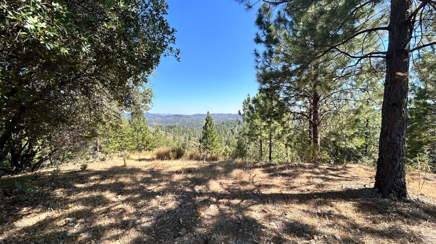 773 Red Fox Road Mountain Ranch, CA 95246 - Photo 4 of 24