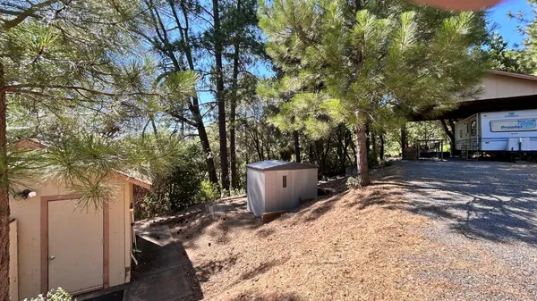 a view of a backyard with large trees