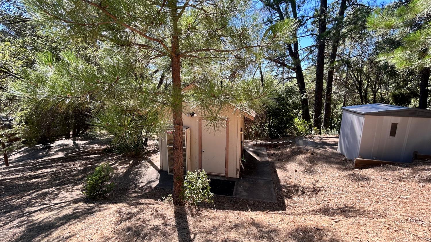 773 Red Fox Road Mountain Ranch, CA 95246 - Photo 10 of 24