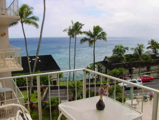 1763 Pe'e Road, Unit 304 Koloa, HI 96756 - Photo 11 of 14 a view of roof deck with palm trees