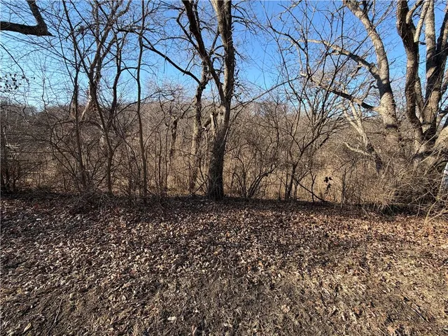 $30,000 | High Drive, Excelsior Springs, MO 64024