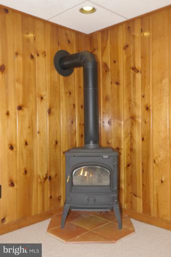 2422 Eccleston Street Silver Spring, MD 20902 - Photo 11 of 24 Free-Standing Gas Stove Fireplace