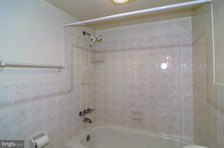 Basement Bath Shower