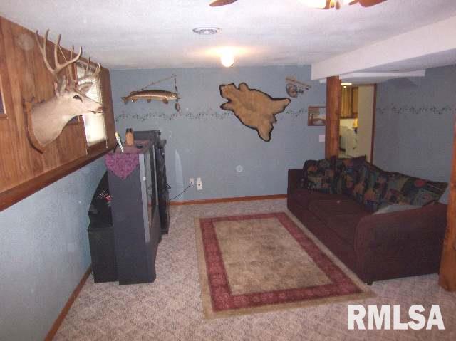 7174 Wolf Road Colona, IL 61241 - Photo 9 of 9 Gallery Image 9