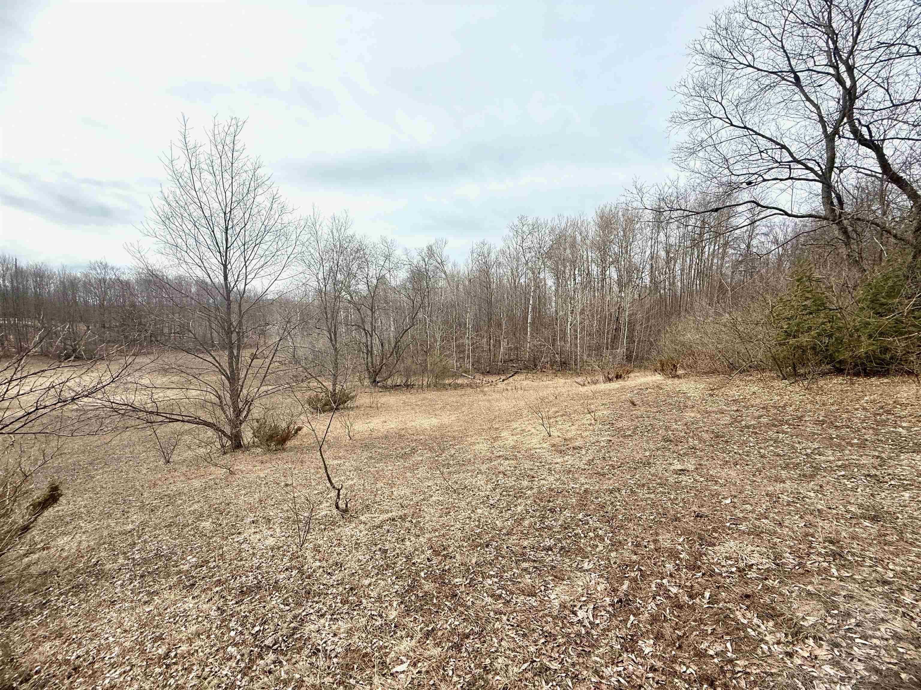 0 West Trumbull Road, Unit LOT B Maple City, MI 49664 - Photo 6 of 25