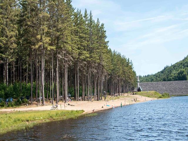 114 Thorndike Road, Unit 114 Weare, NH 03281 - Photo 16 of 17